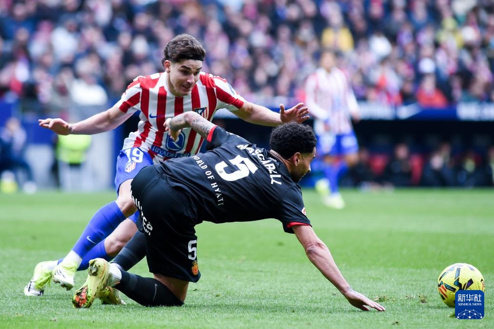 中国棒球市场成长曲线